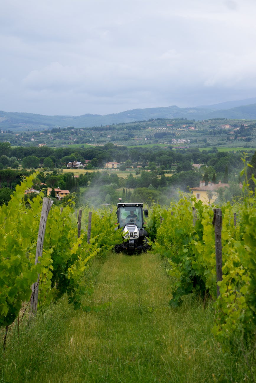 Liguria, 3,4 milioni alle aziende agricole colpite dalle alluvioni nel savonese