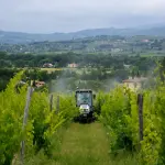Liguria, 3,4 milioni alle aziende agricole colpite dalle alluvioni nel savonese