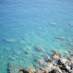 Imperia, biowalk gratuita dal Prino al mare con i biologi