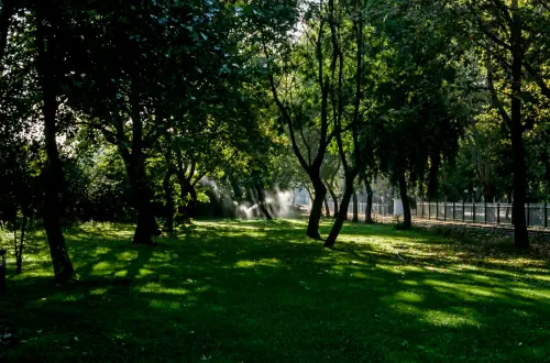 Ex officine Guglielmetti, a Molassana meno volumi e più verde
