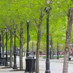 Imperia, un albero per ogni nuovo nato: 94 piante dedicate ai bambini del 2025