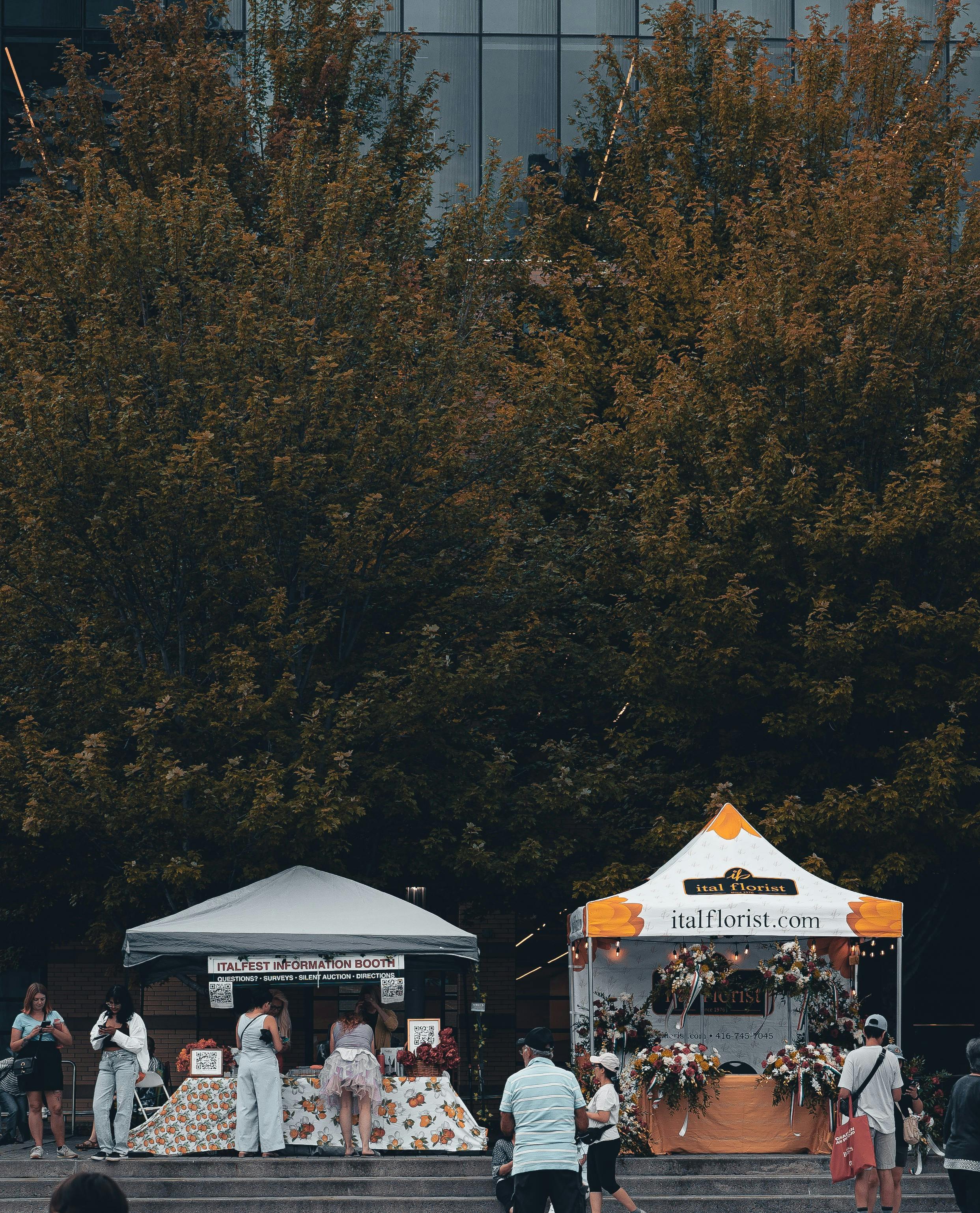 Imperia, viabilità modificata per SOL&VENTO: divieti di sosta e possibili chiusure a Borgo Marina