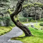 L’olio di Capaci consegnato al vescovo Suetta, a Sanremo un simbolo di memoria e legalità